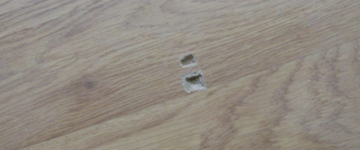 LAMINATE FLOORING REPAIR
