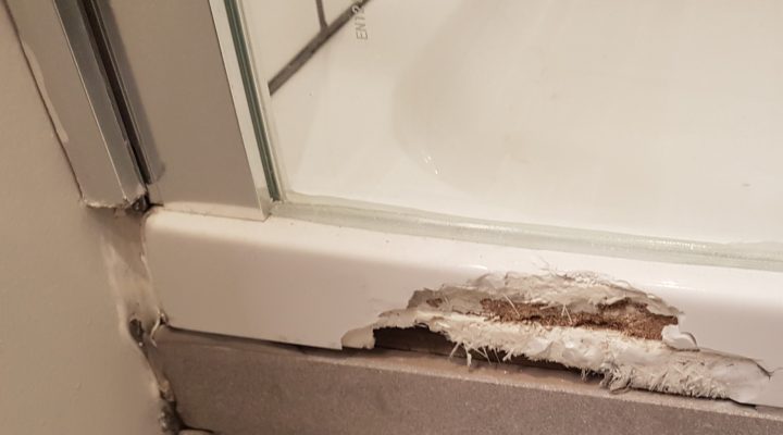 BATH CHIP REPAIR