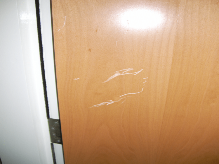 VENEER SCRATCHED DOOR REPAIR