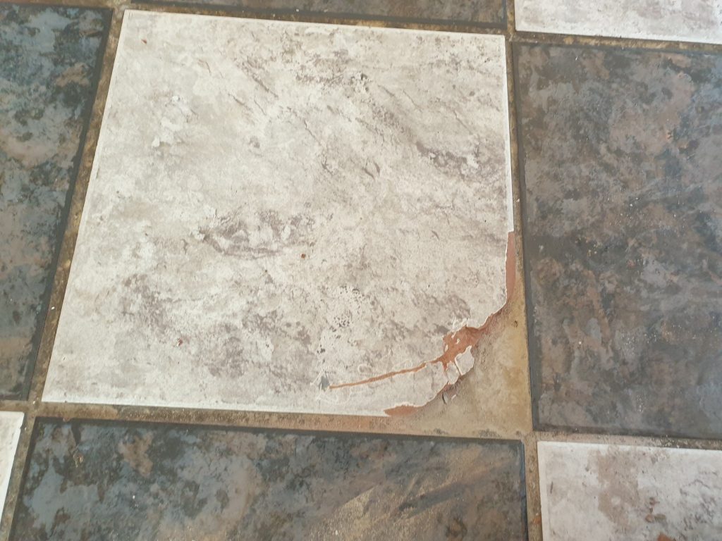 CHIPPED TILE REPAIR
