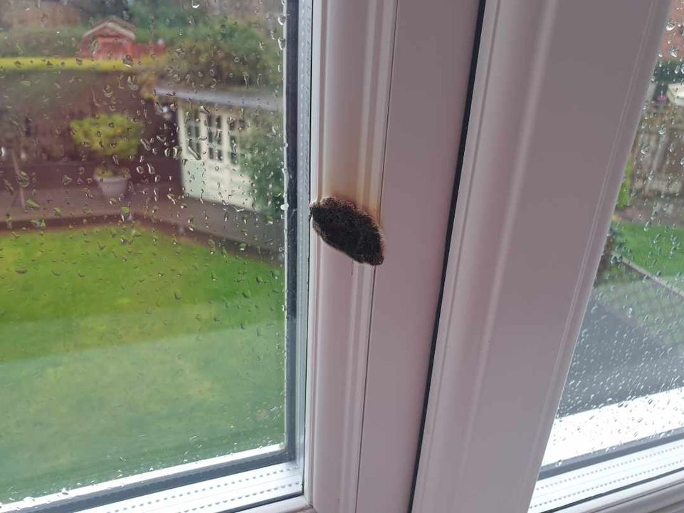 MIRROR BURN MARK REPAIR TO UPVC WINDOW FRAME