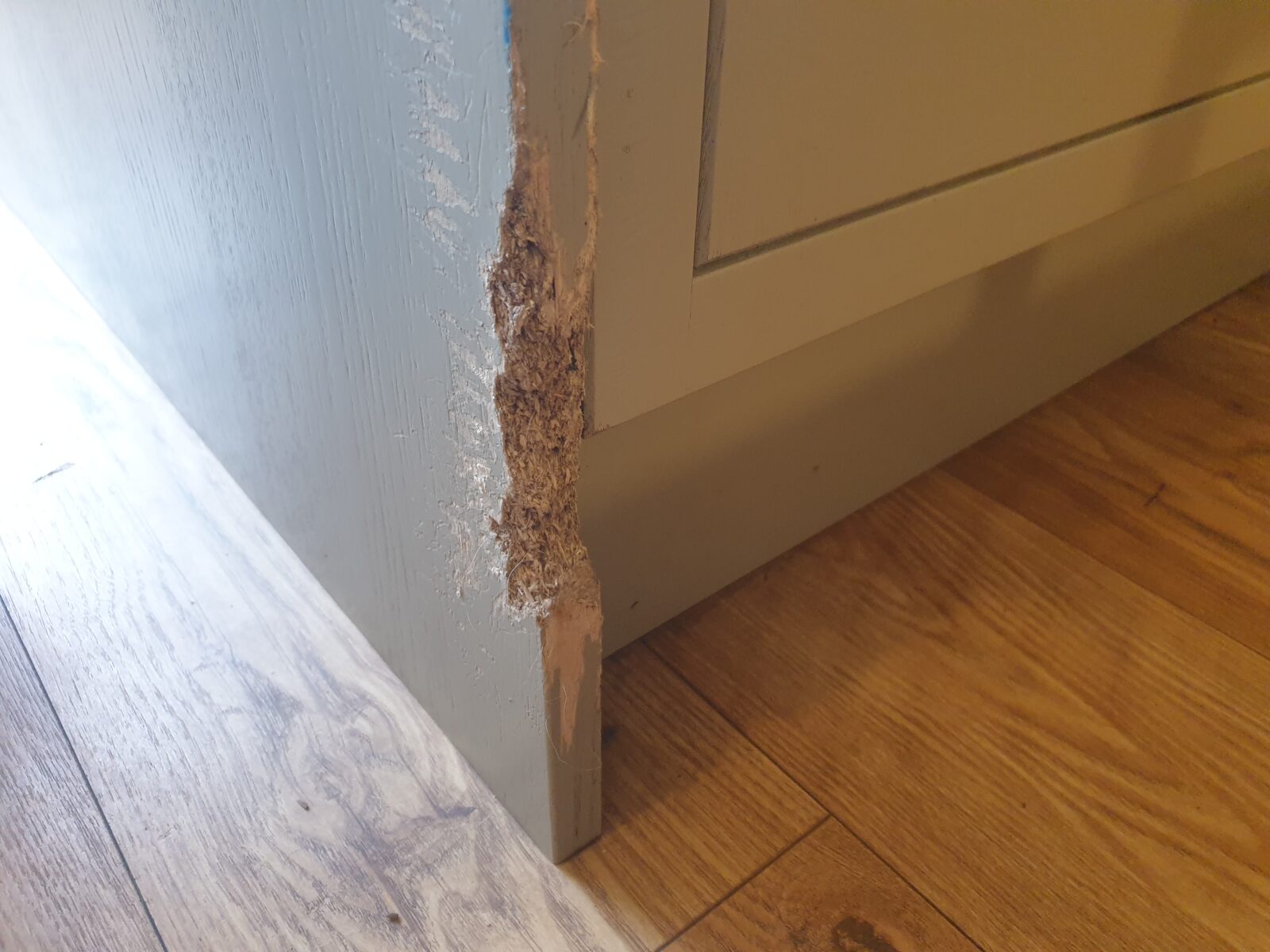 SHAKER STYLE KITCHEN PANEL DOG CHEW REPAIR