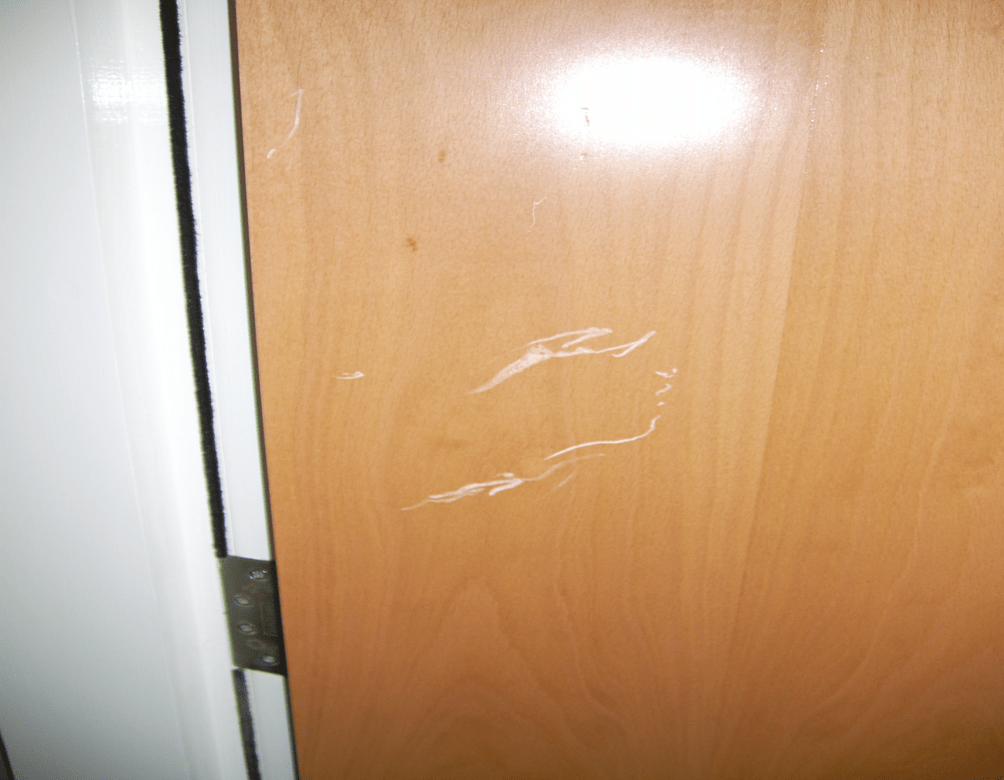 VENEER SCRATCHED DOOR REPAIR